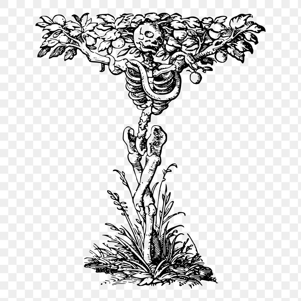 Skeleton tree png sticker illustration, transparent background. Free public domain CC0 image.
