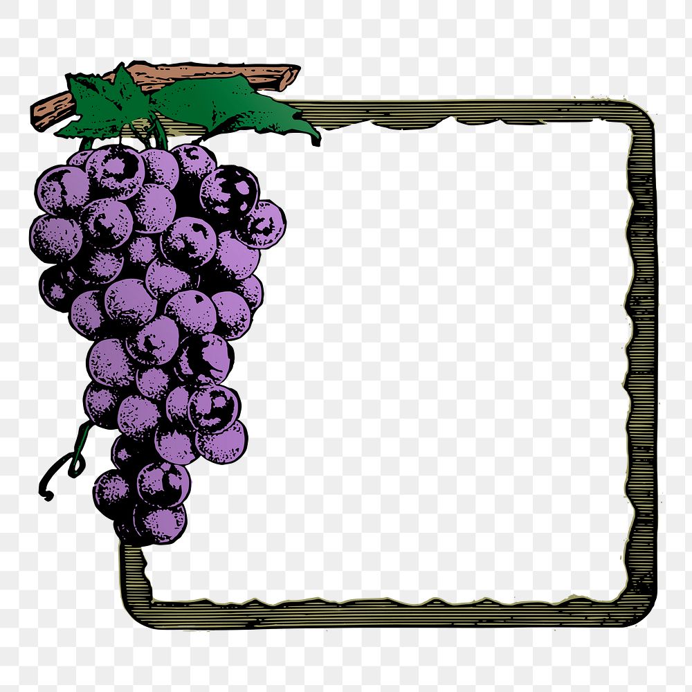 Grapes frame png sticker illustration, transparent background. Free public domain CC0 image.