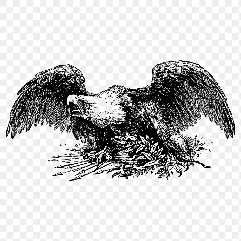 Eagle png sticker illustration, transparent background. Free public domain CC0 image.