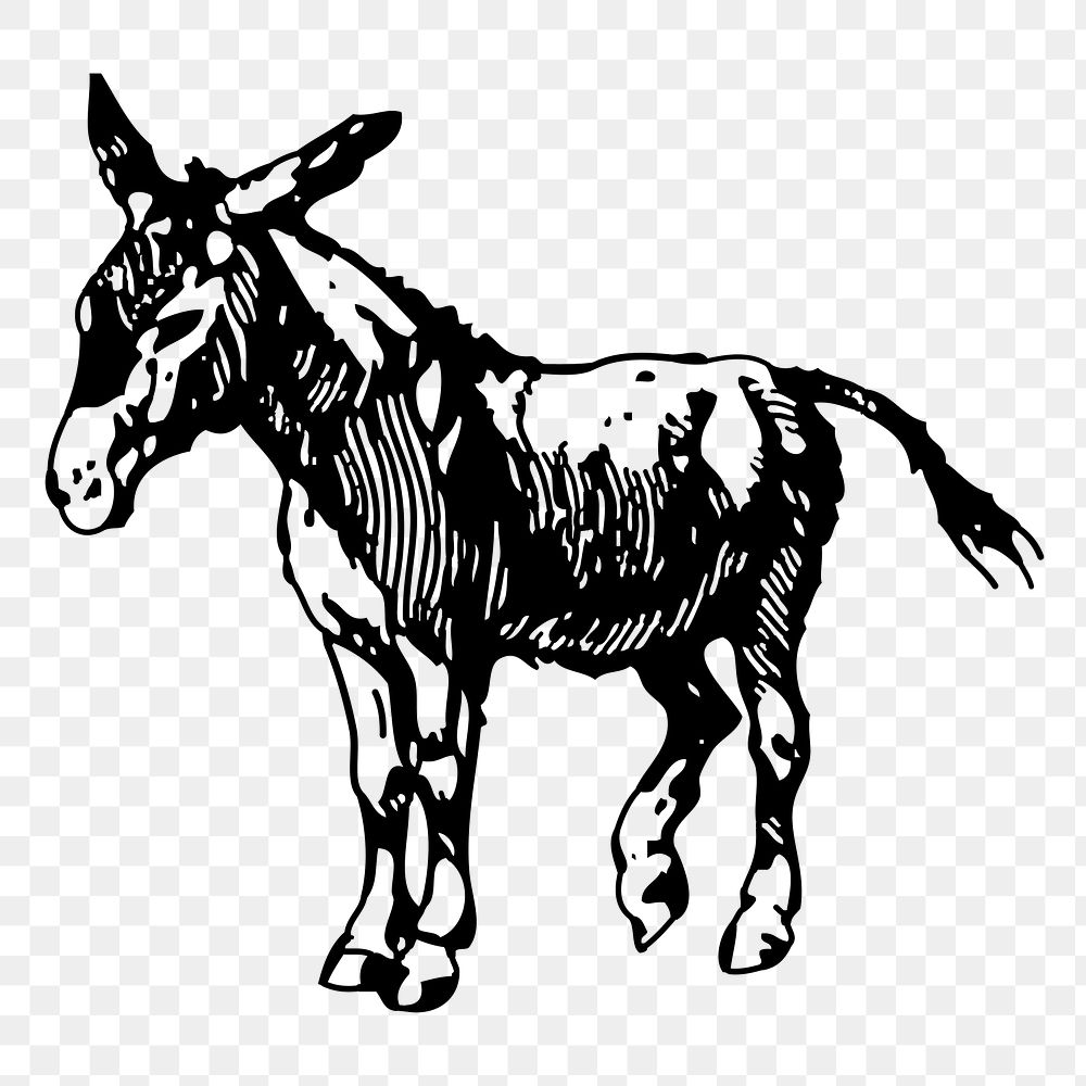 Donkey png sticker illustration, transparent background. Free public domain CC0 image.