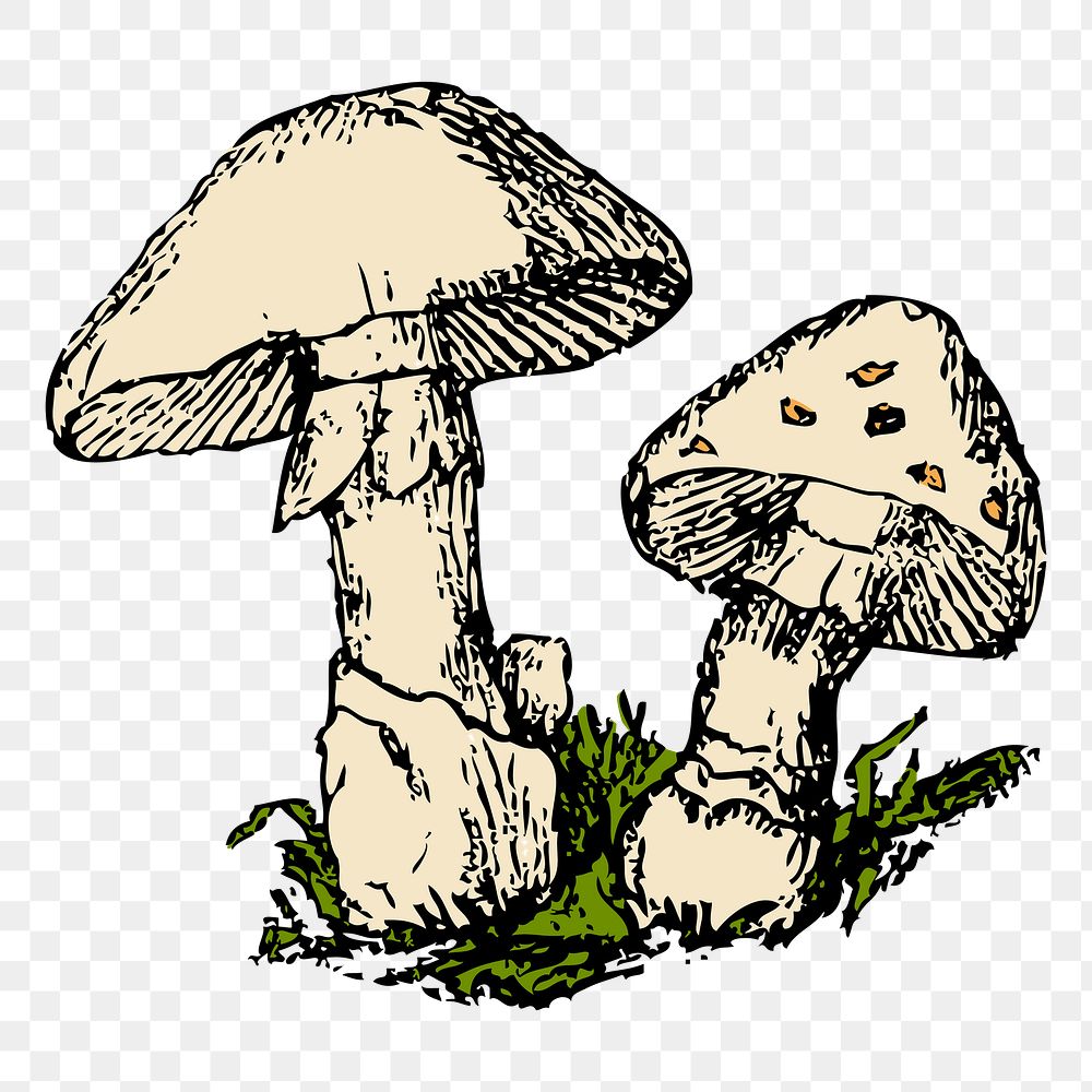 Mushroom png sticker illustration, transparent background. Free public domain CC0 image.