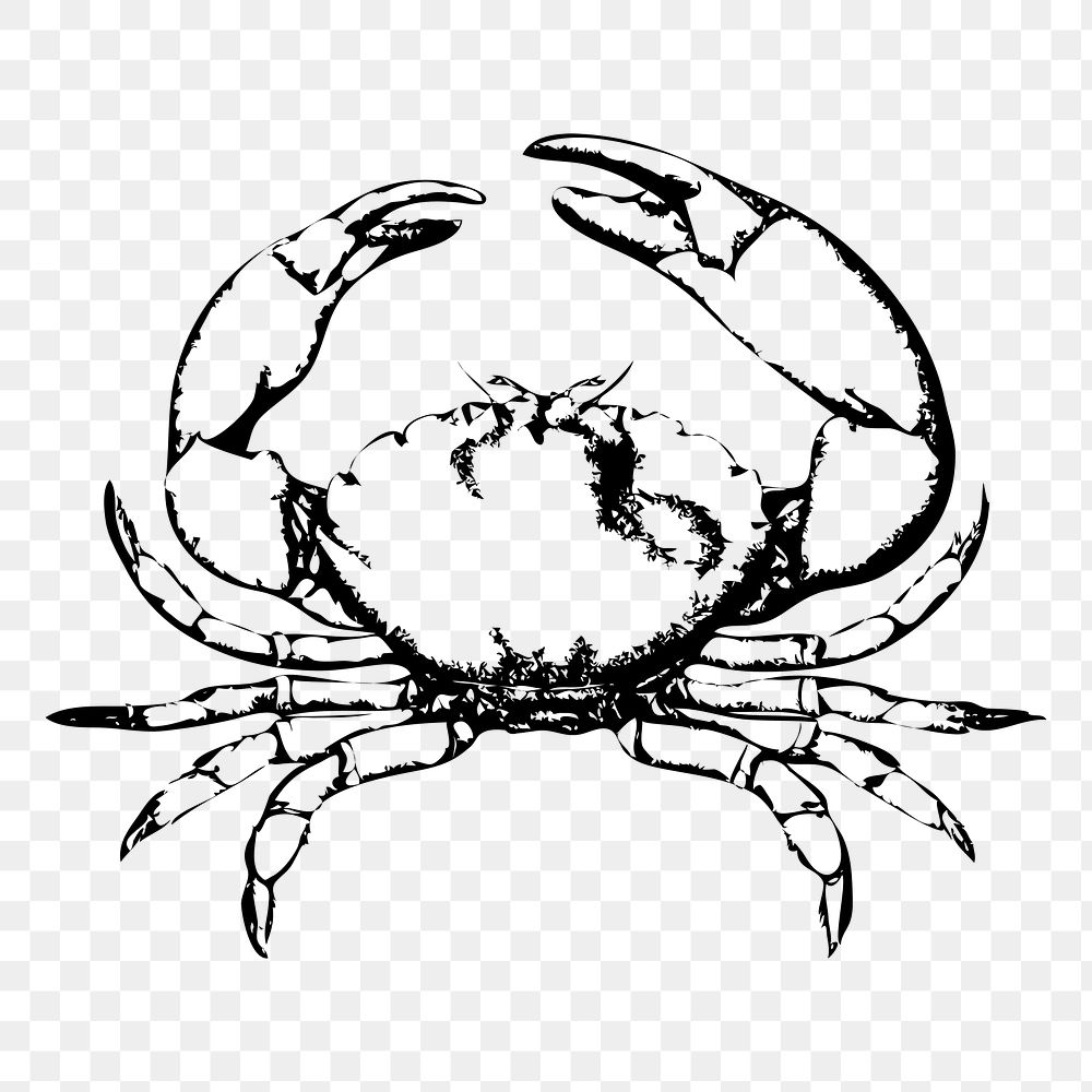 Crab png sticker illustration, transparent background. Free public domain CC0 image.