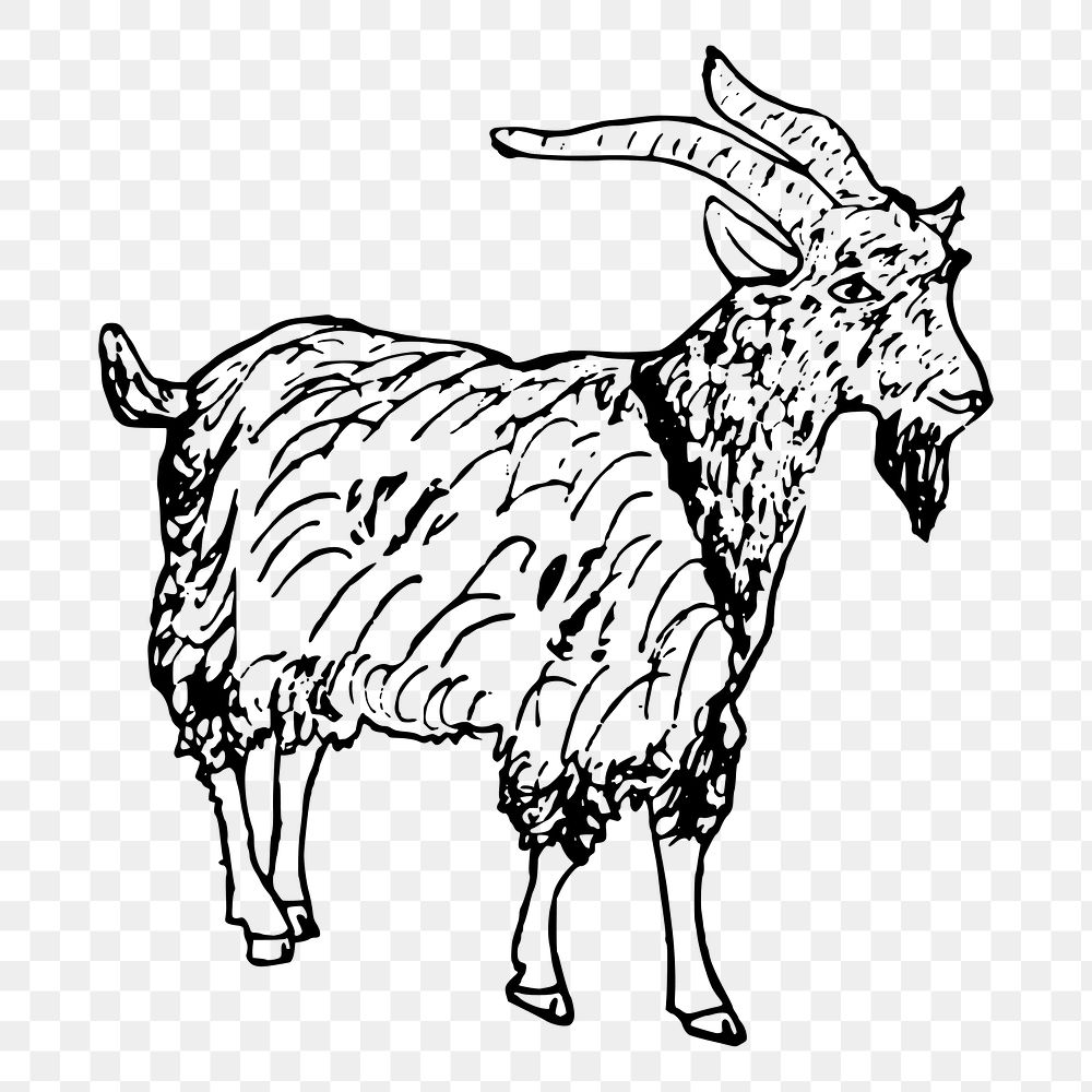 Goat png sticker illustration, transparent background. Free public domain CC0 image.