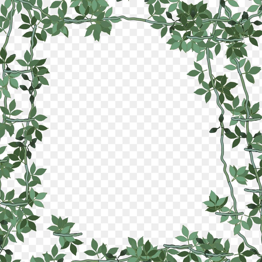 Leaf frame png sticker, botanical illustration, transparent background. Free public domain CC0 image