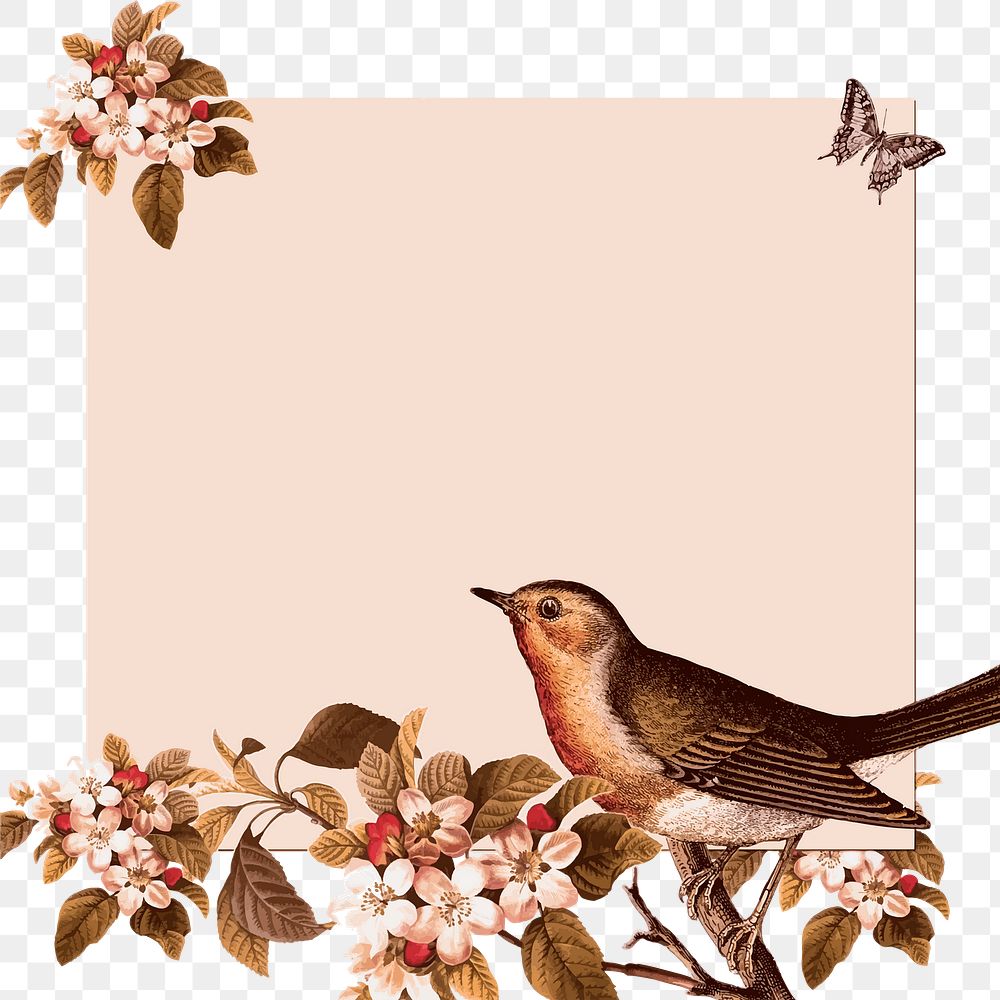 Bird frame png sticker, animal illustration, transparent background. Free public domain CC0 image