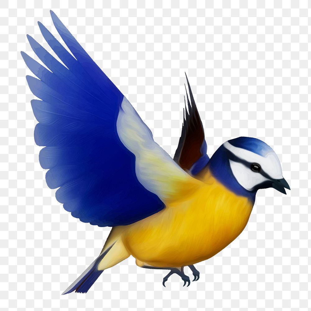 Bird png sticker, animal illustration, transparent background. Free public domain CC0 image