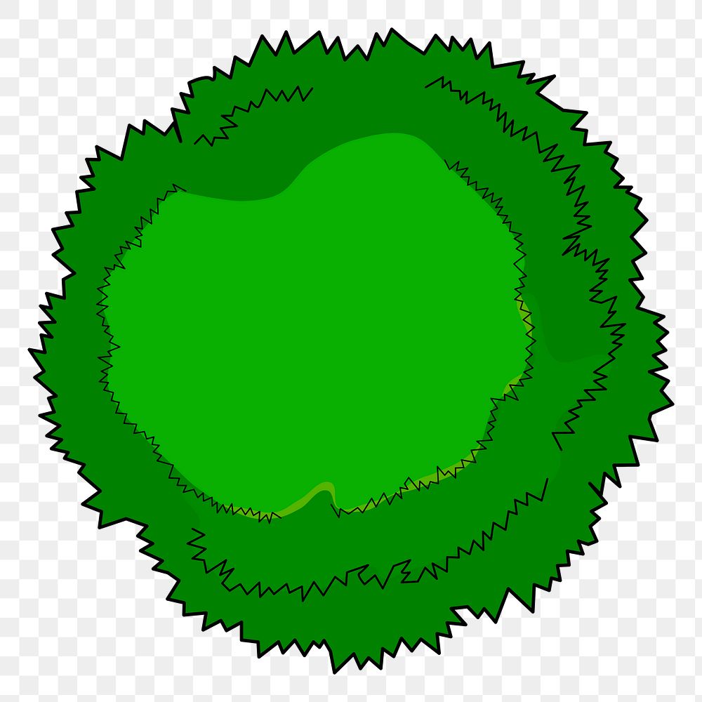 Tree png top view sticker, botanical illustration, transparent background. Free public domain CC0 image