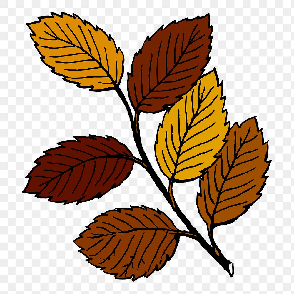 Autumn leaf png branch sticker, seasonal illustration, transparent background. Free public domain CC0 image