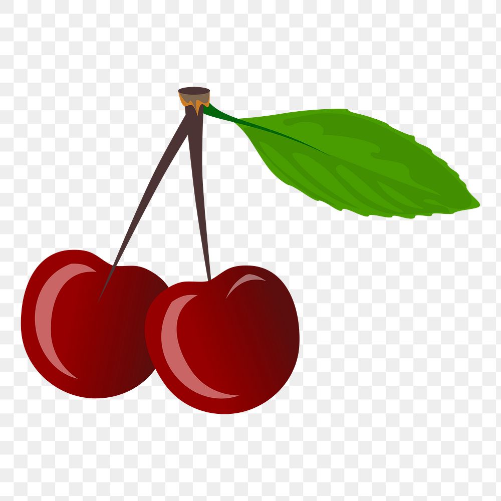 Cherries png sticker, fruit illustration, transparent background. Free public domain CC0 image