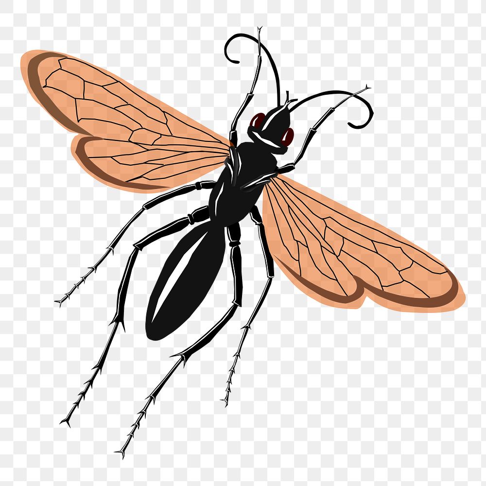 Black wasp png sticker, animal illustration, transparent background. Free public domain CC0 image