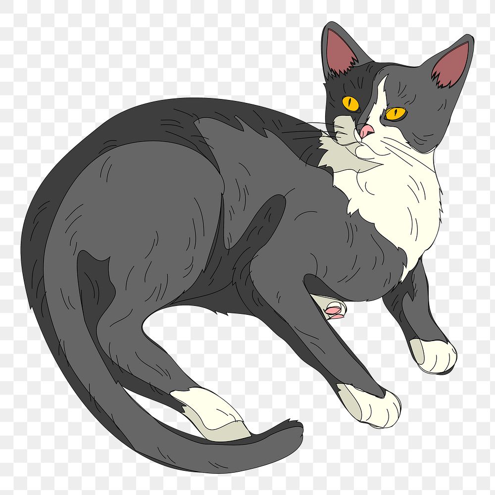 Cat png sticker, transparent background. Free public domain CC0 image.