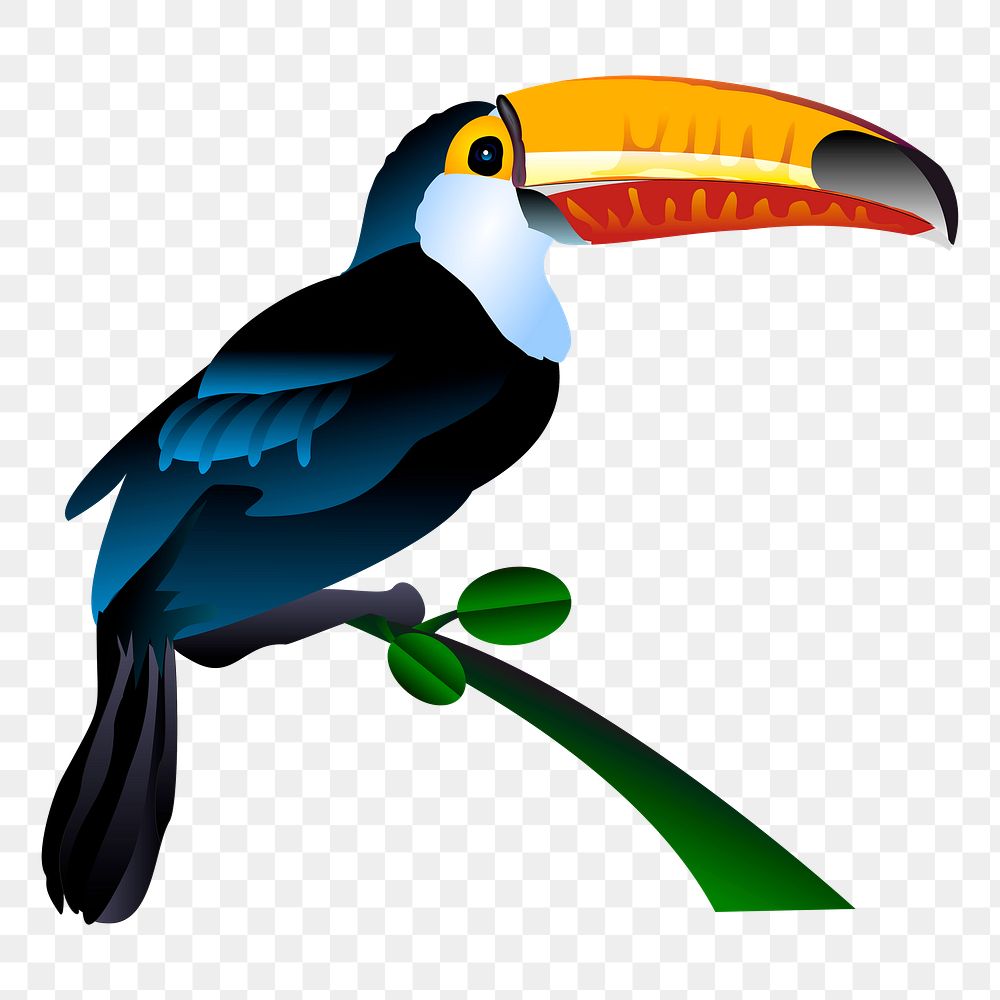 Toucan bird png sticker, transparent background. Free public domain CC0 image.