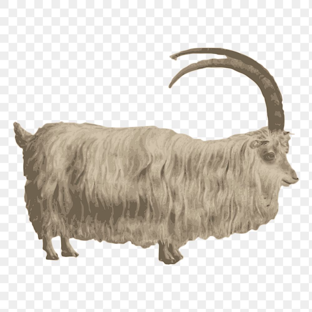 Mountain goat png sticker, transparent background. Free public domain CC0 image.