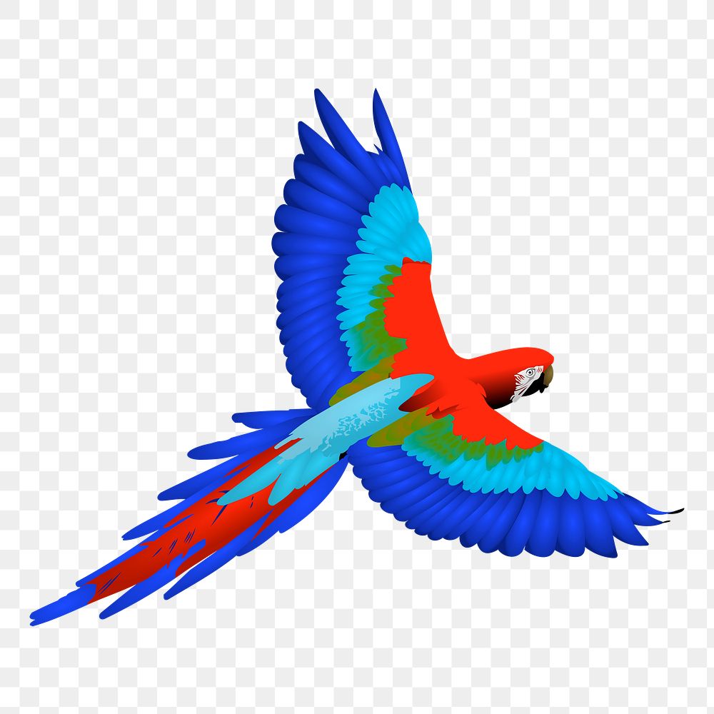 Macaw bird png sticker, transparent background. Free public domain CC0 image.