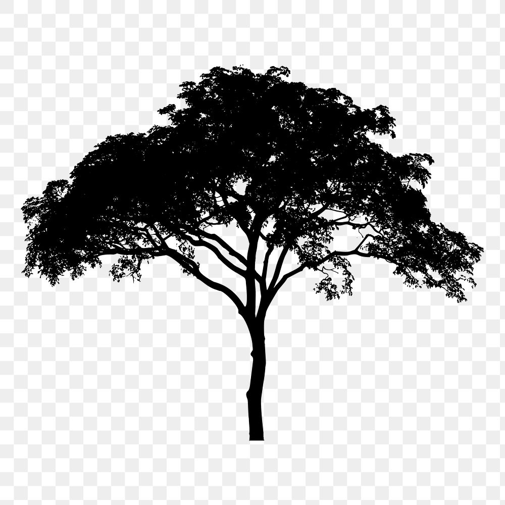 Tree silhouette png sticker, transparent background. Free public domain CC0 image.