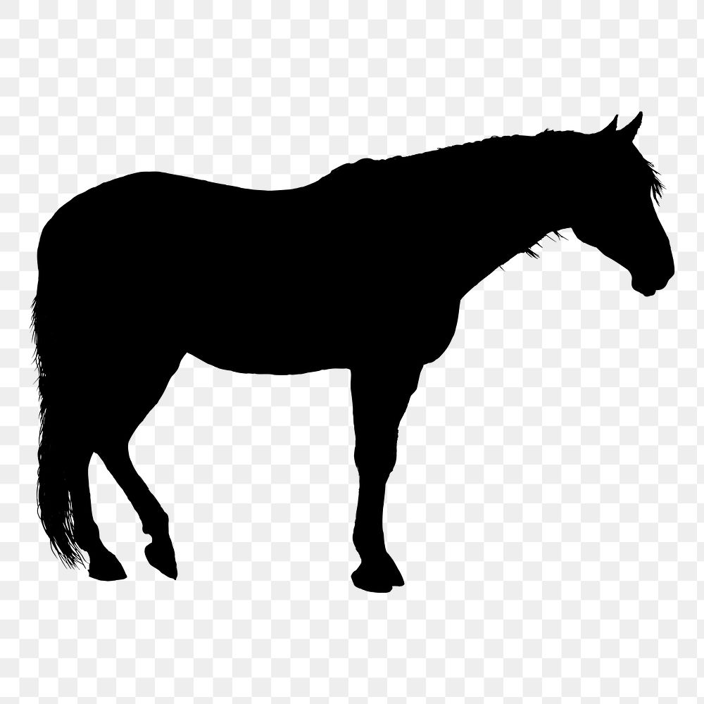 Horse silhouette png sticker, transparent background. Free public domain CC0 image.