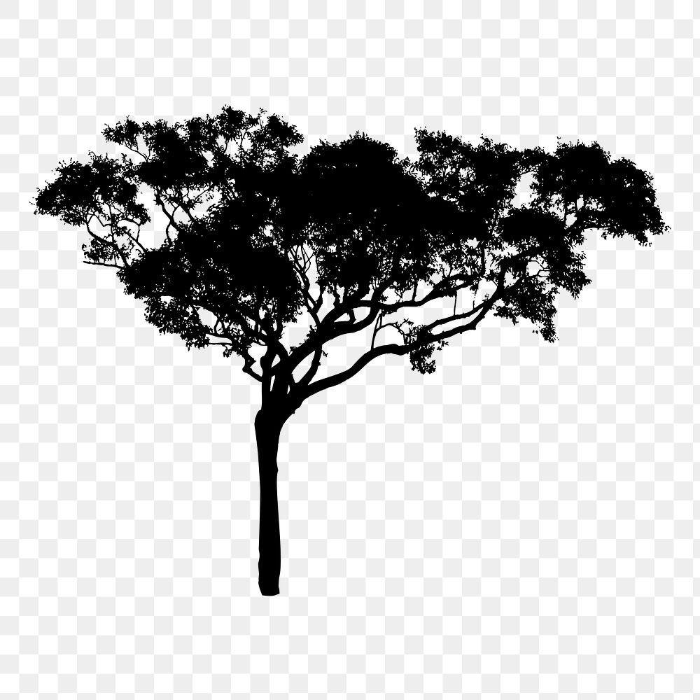 Tree silhouette png sticker, transparent background. Free public domain CC0 image.