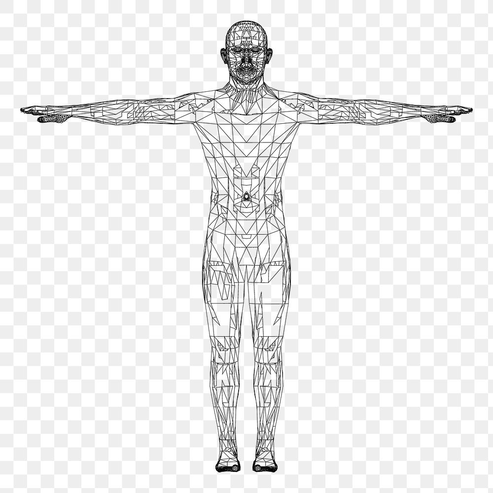 Human anatomy png sticker, transparent background. Free public domain CC0 image