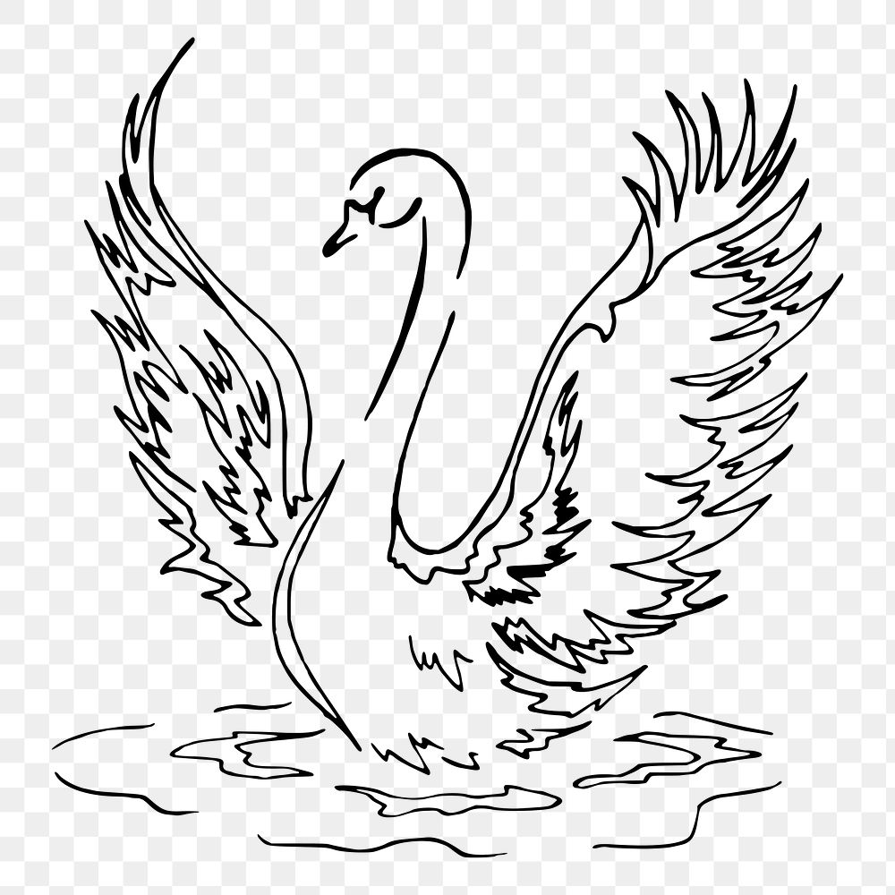 Swan png sticker, animal illustration, transparent background. Free public domain CC0 image