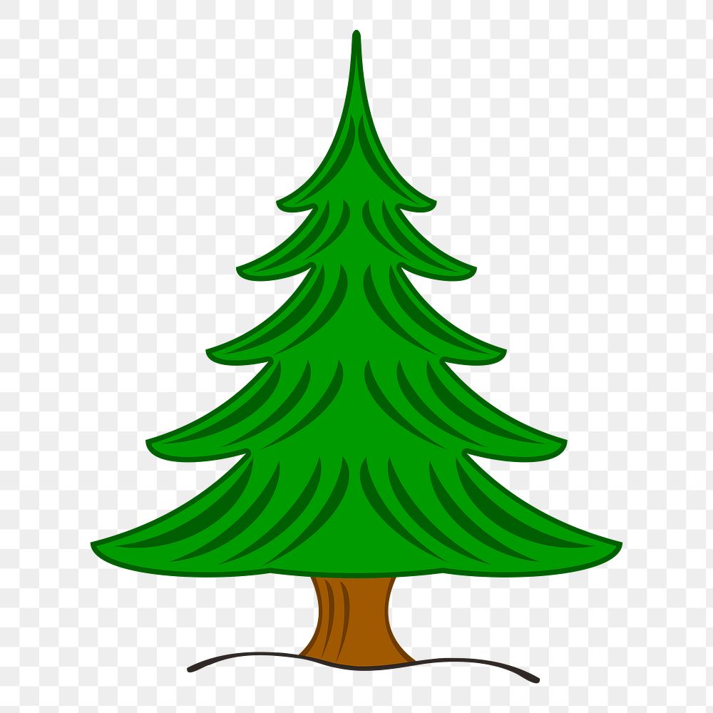 Pine tree png sticker botanical illustration, transparent background. Free public domain CC0 image.