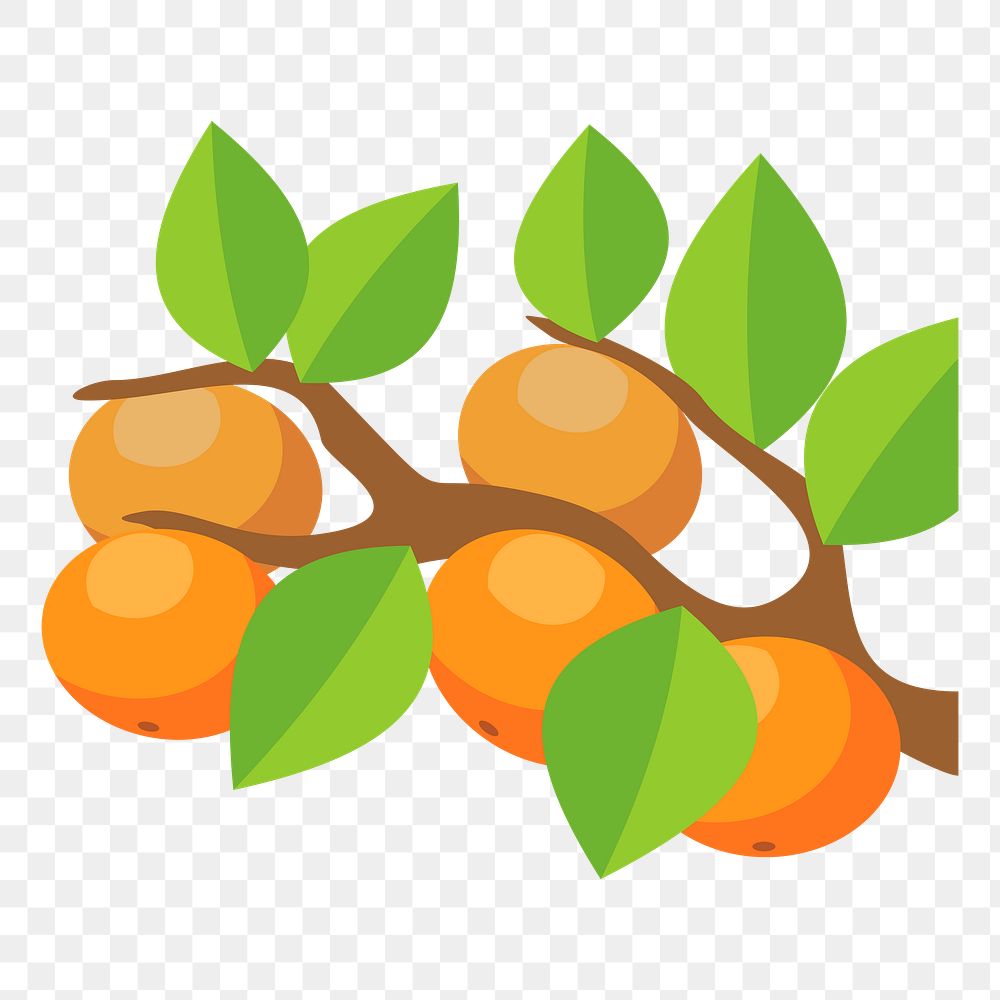 Orange branch png sticker fruit illustration, transparent background. Free public domain CC0 image.