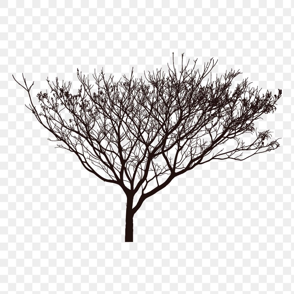 Leafless tree png sticker, black and white illustration, transparent background. Free public domain CC0 image.