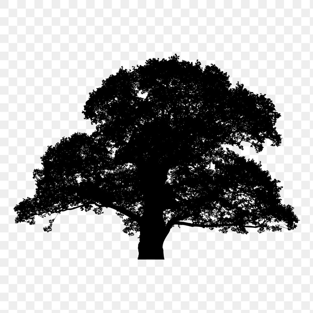 Tree silhouette png sticker, transparent background. Free public domain CC0 image.