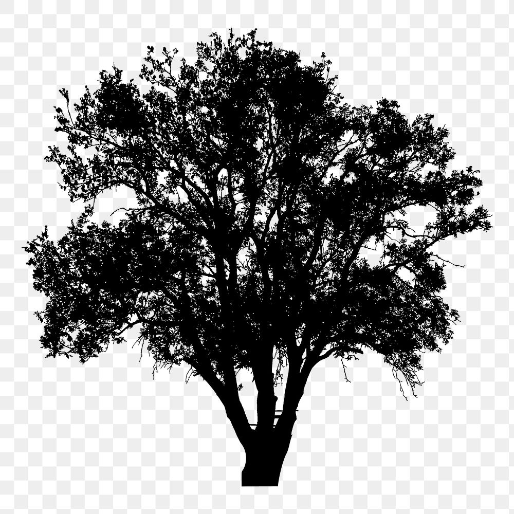 Tree silhouette png sticker, transparent background. Free public domain CC0 image.