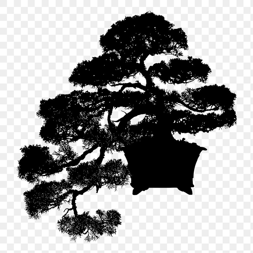 Png Bonsai tree silhouette sticker, transparent background. Free public domain CC0 image.