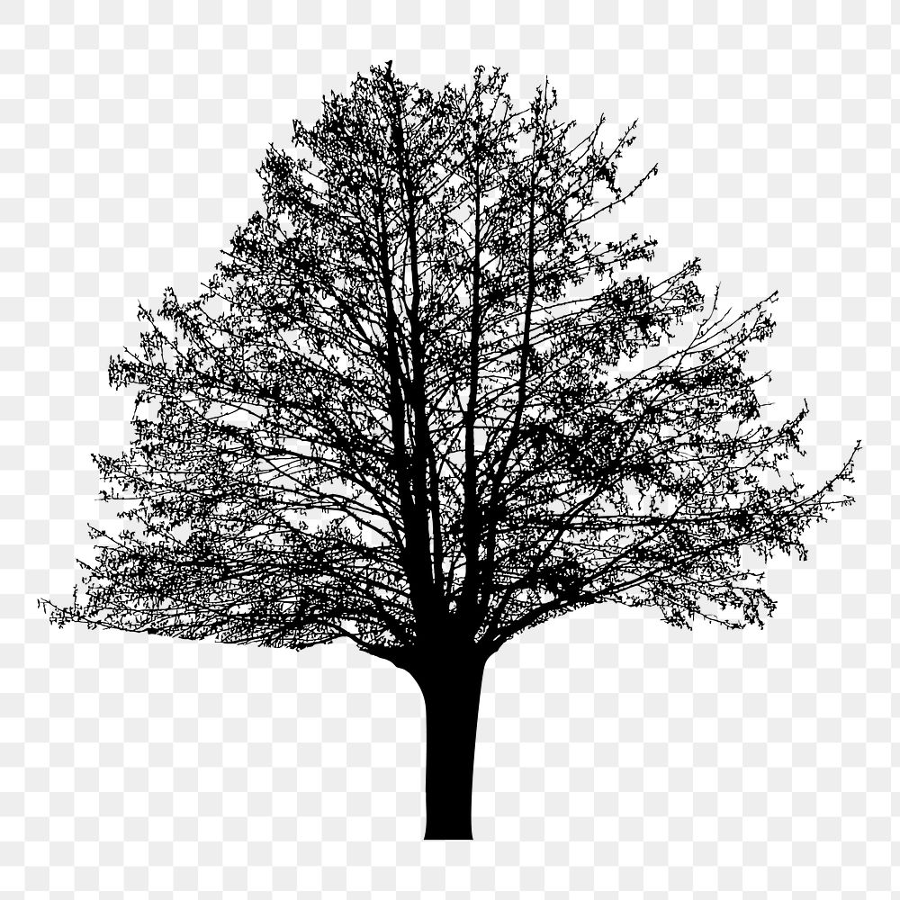 Tree silhouette png sticker, transparent background. Free public domain CC0 image.