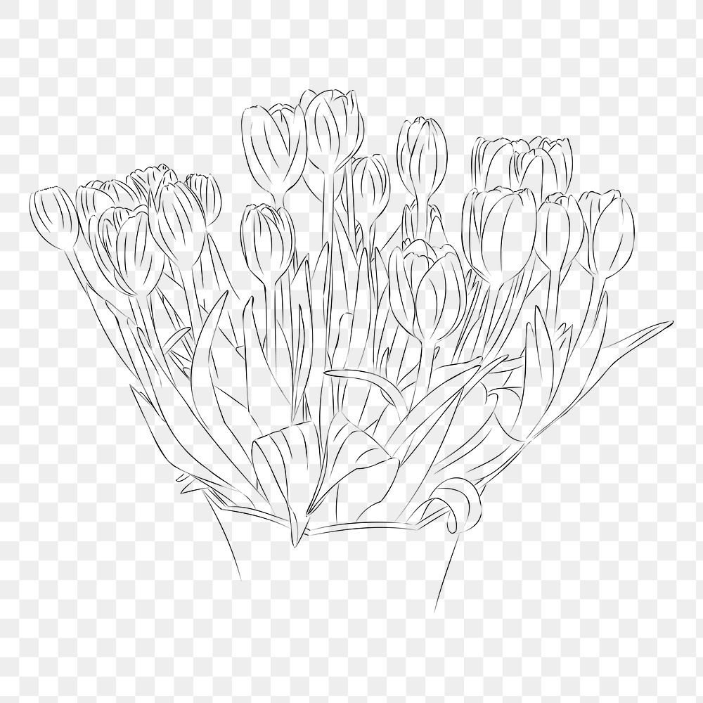 Png tulips line art sticker, transparent background. Free public domain CC0 image.