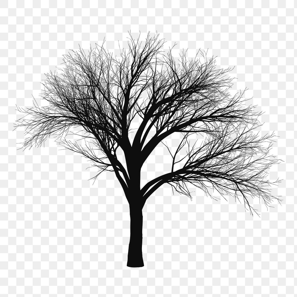 Leafless tree silhouette png sticker, transparent background. Free public domain CC0 image.