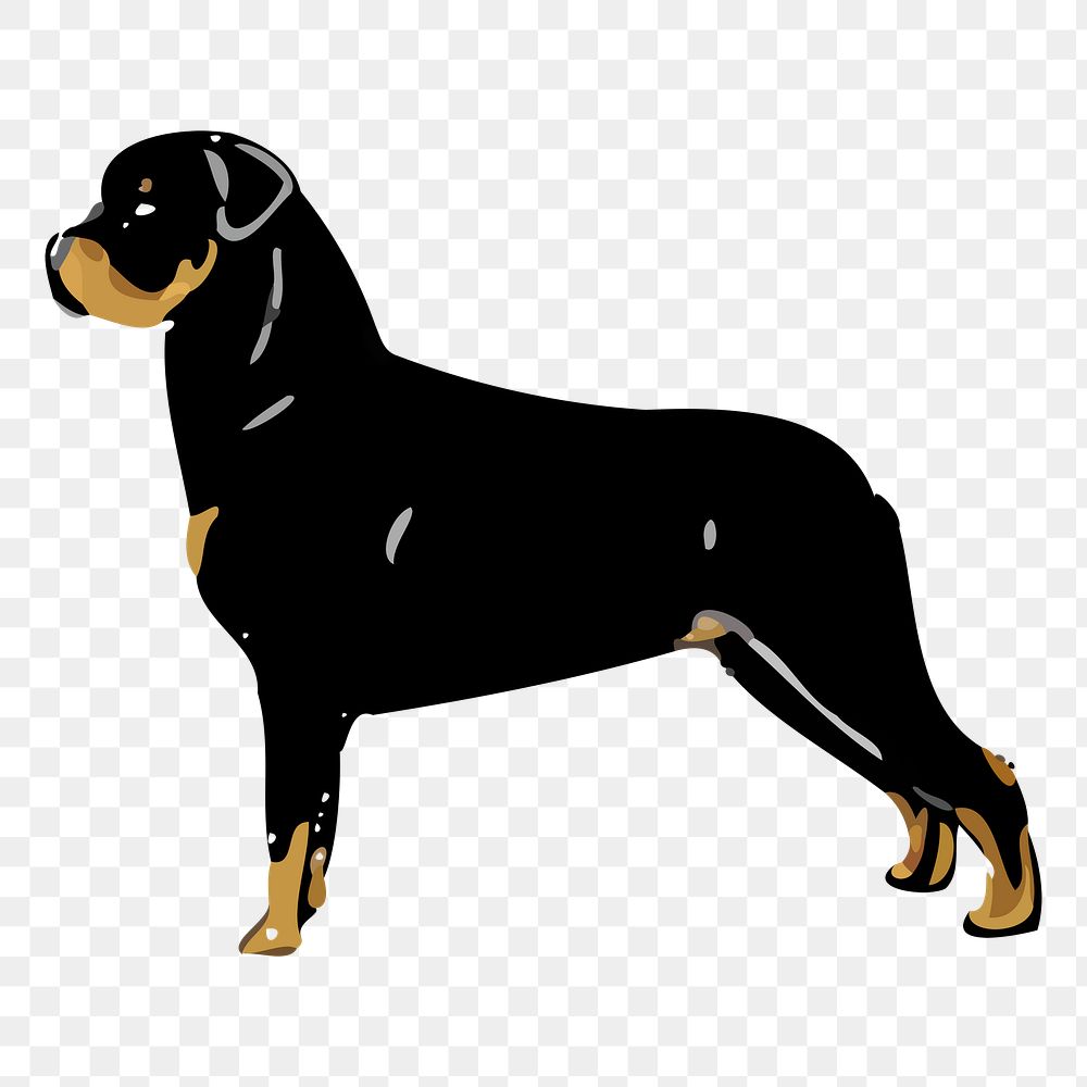 Rottweiler  png sticker pet illustration, transparent background. Free public domain CC0 image.
