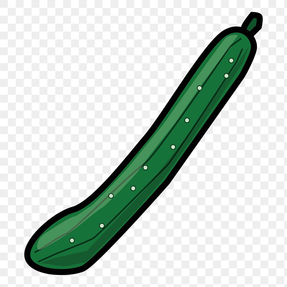 Zucchini png sticker food illustration, transparent background. Free public domain CC0 image.