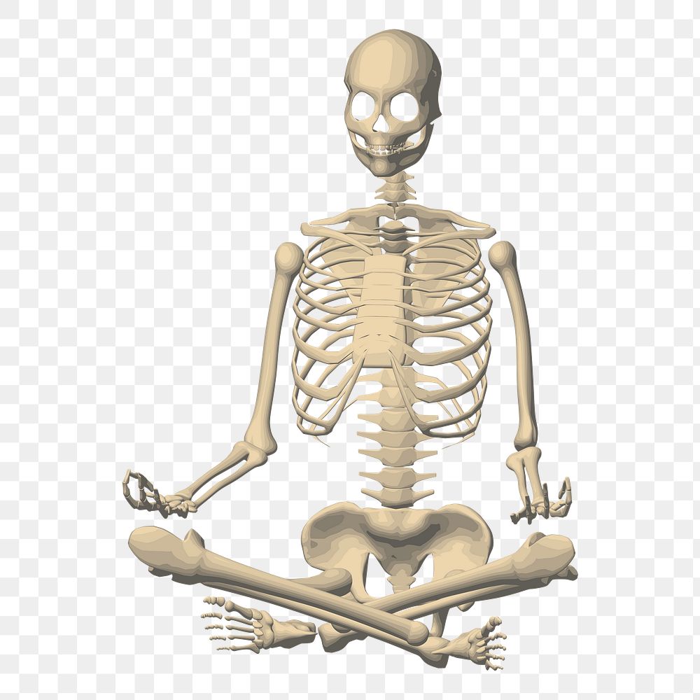 Meditating skeleton png sticker Halloween illustration, transparent background. Free public domain CC0 image.