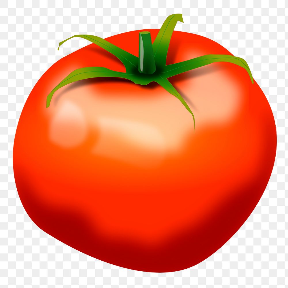 Tomato png sticker food illustration, transparent background. Free public domain CC0 image.