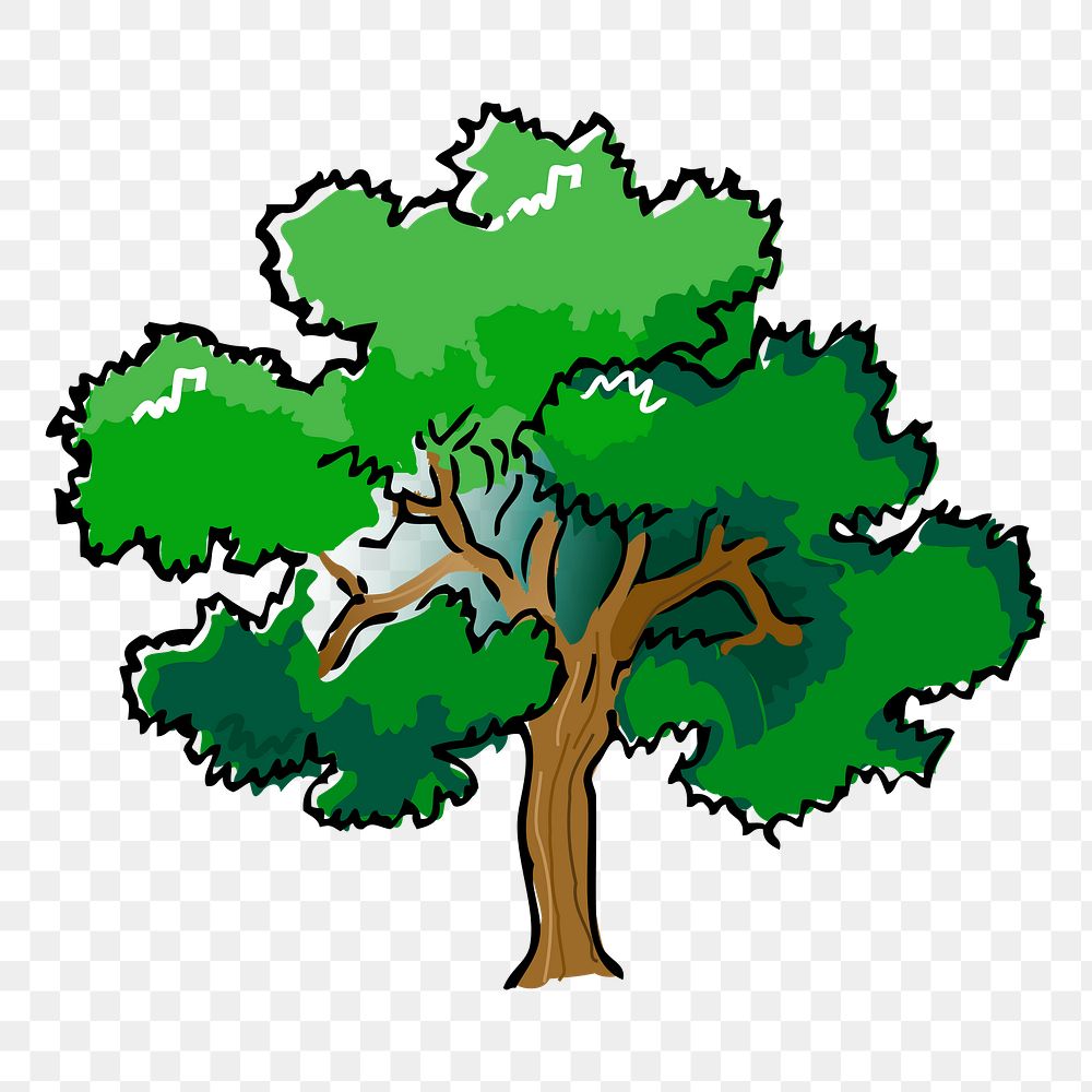 Big tree png sticker nature illustration, transparent background. Free public domain CC0 image.