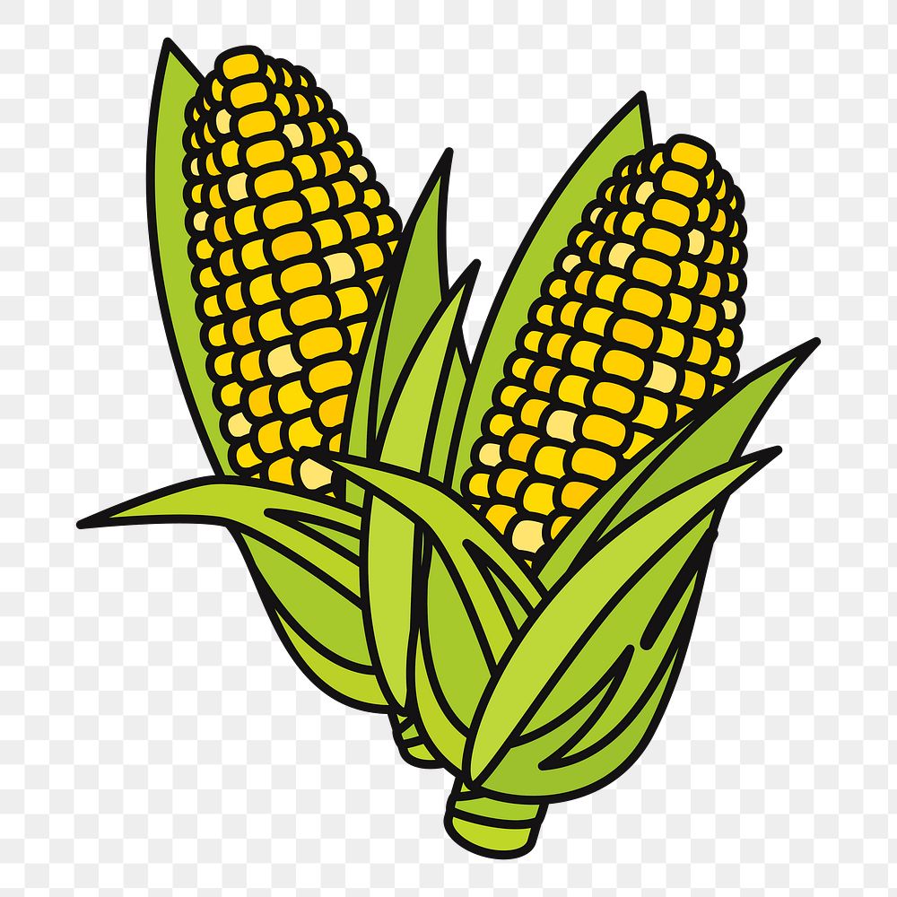 Corns png sticker food illustration, transparent background. Free public domain CC0 image.