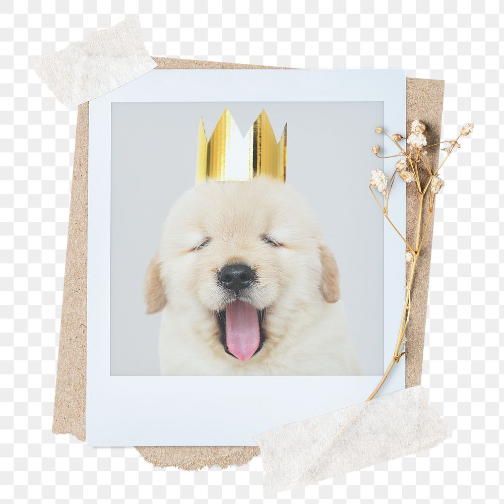 Cute dog png sticker instant photo, aesthetic flower design, transparent background