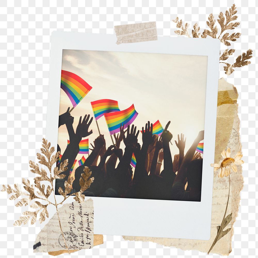 Pride month png sticker instant photo, aesthetic leaf design, transparent background