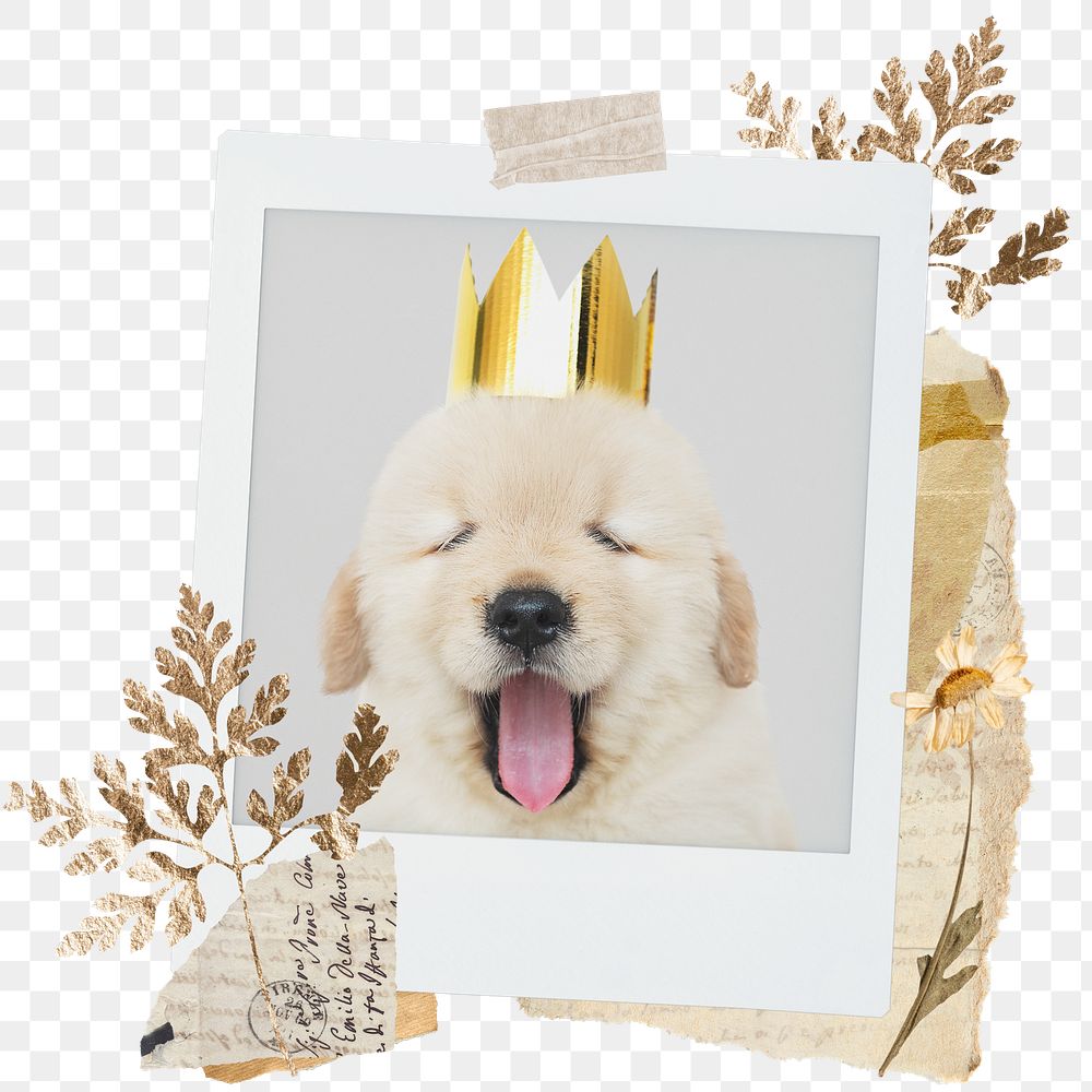 Cute dog png sticker instant photo, aesthetic leaf design, transparent background