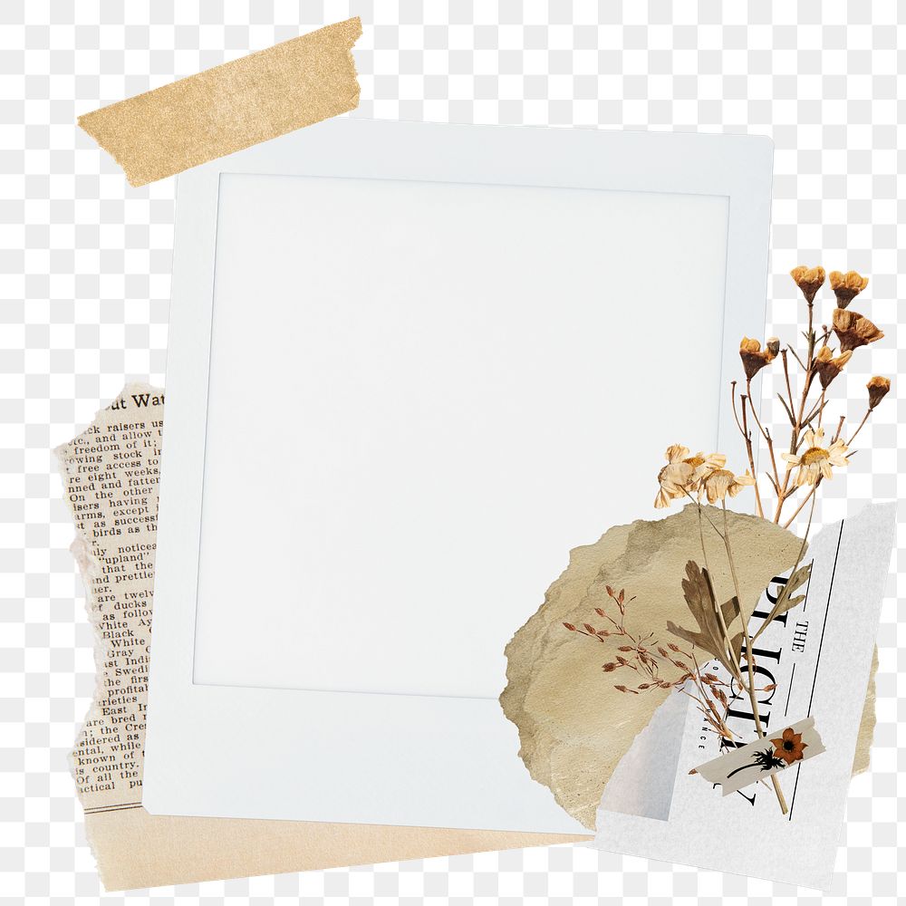 Autumn aesthetic png sticker instant photo, flower design, transparent background