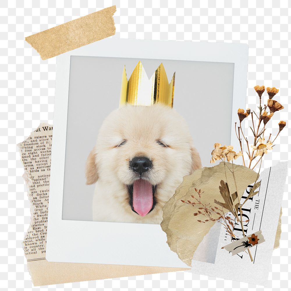Cute dog png sticker instant photo, aesthetic flower design, transparent background