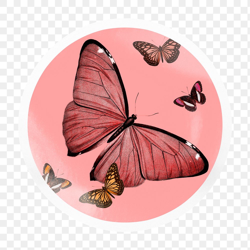 Pink butterfly png badge sticker on transparent background