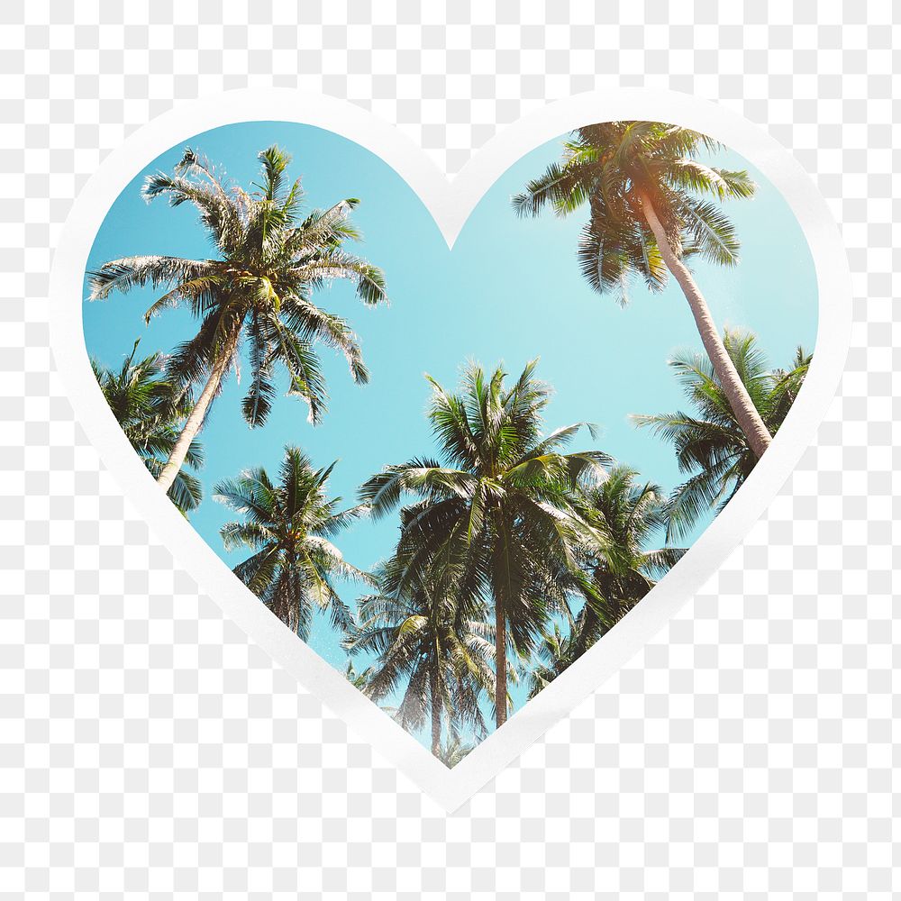 Palm trees png heart badge sticker on transparent background