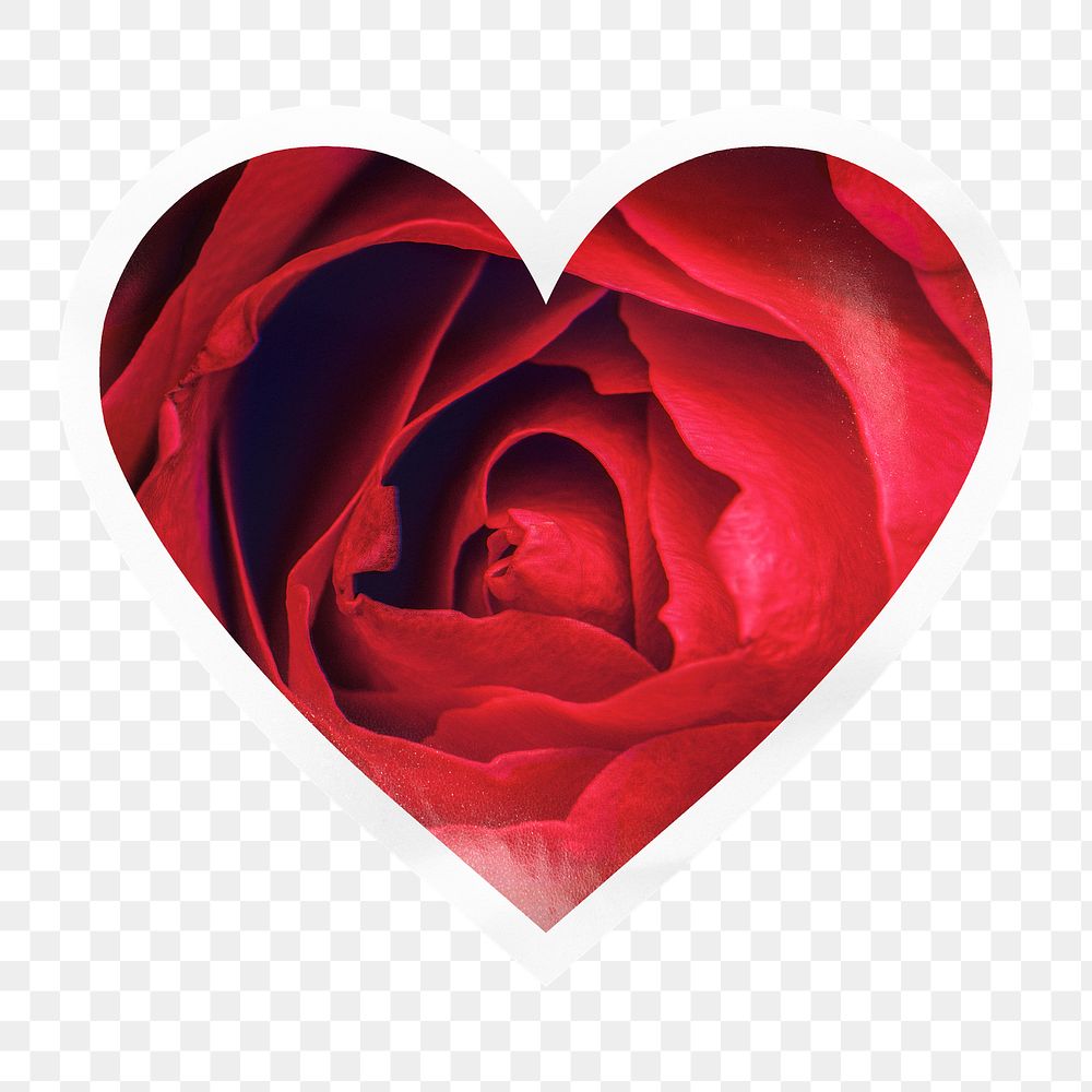 Red rose png heart badge sticker on transparent background