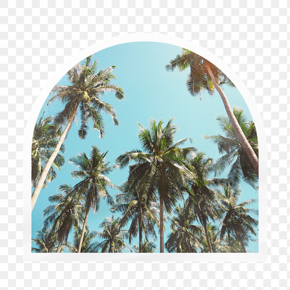 Palm trees png arc badge sticker on transparent background