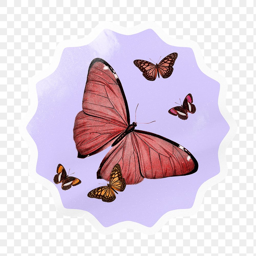 Pink butterfly png starburst badge sticker on transparent background