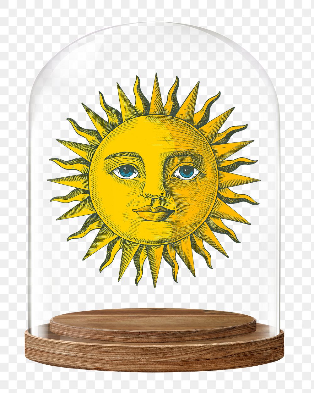 Celestial sun png glass dome sticker, whimsical concept art, transparent background