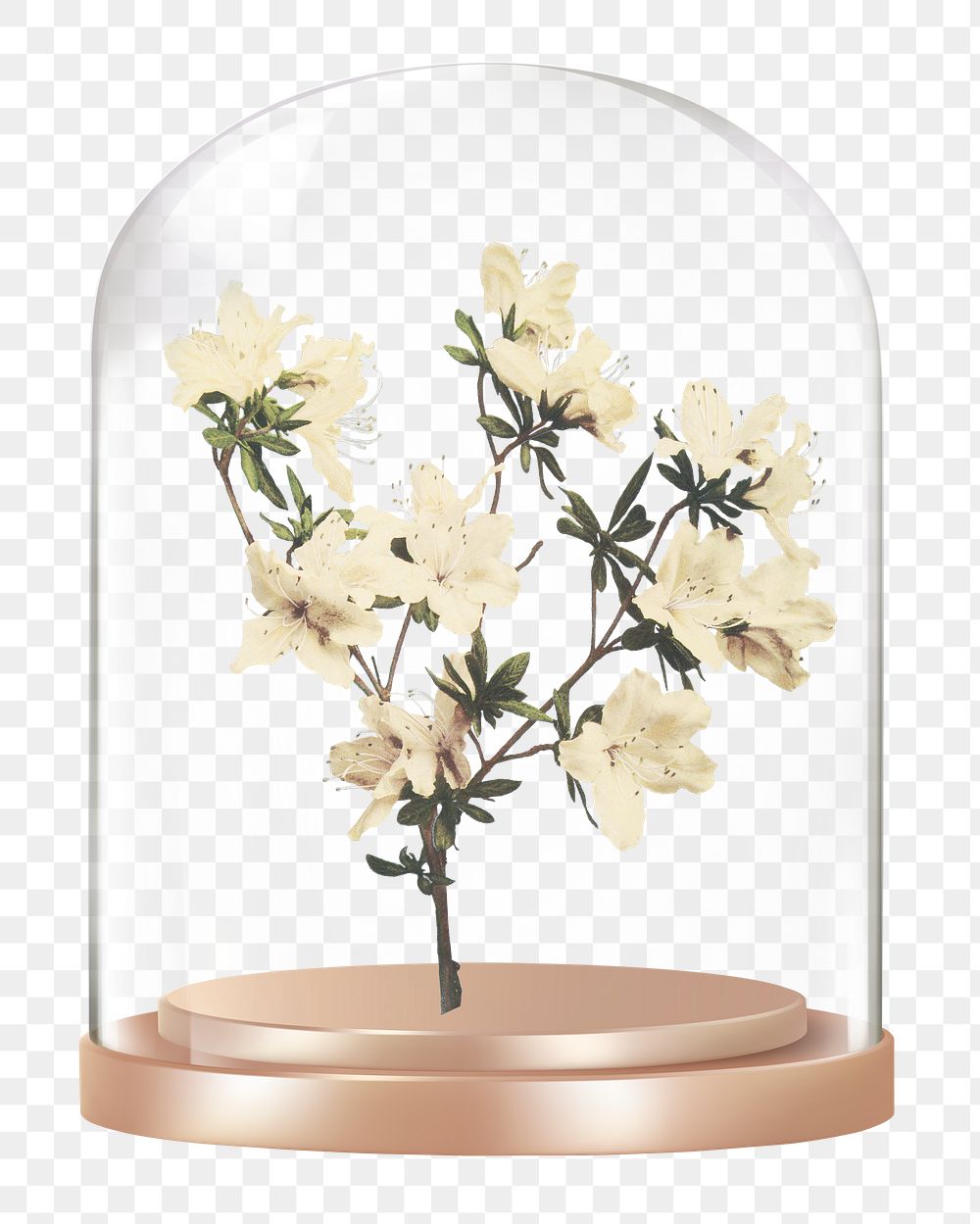 Azalea flowers png glass dome sticker, Spring concept art, transparent background